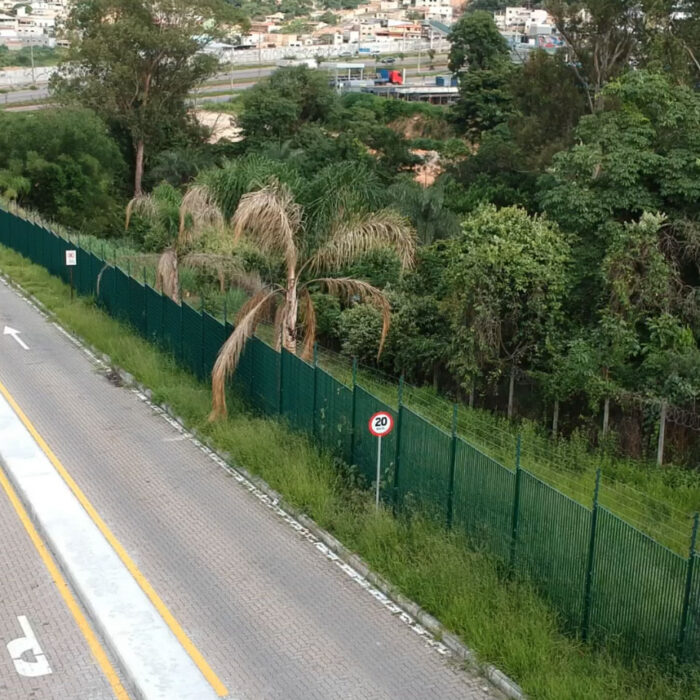 Captura-de-Tela-2022-08-17-as-14.33.44-3