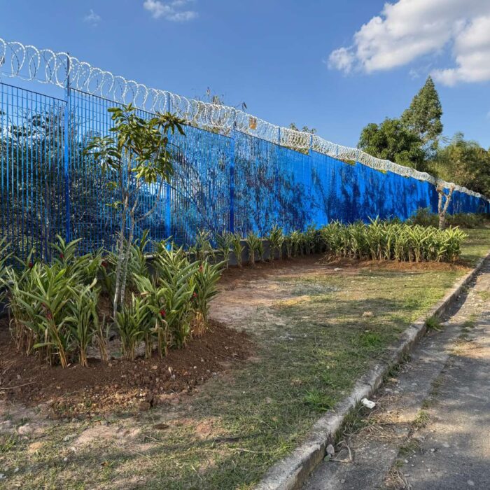 WhatsApp Image 2025-07-08 at 15.36.46