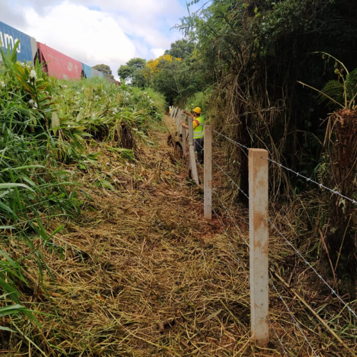 e1fdfb1b-dafd-4439-8d43-69f509fc24c7