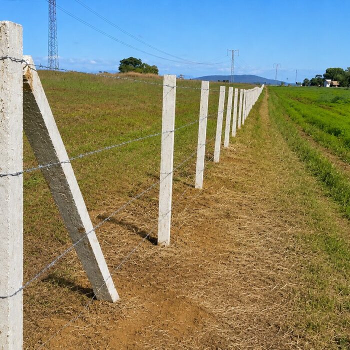 ECO ARAGUAIA 2