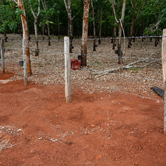 ECO ARAGUAIA
