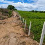 Lei 14.166/2026: o que muda no cercamento de fauna em rodovias e ferrovias