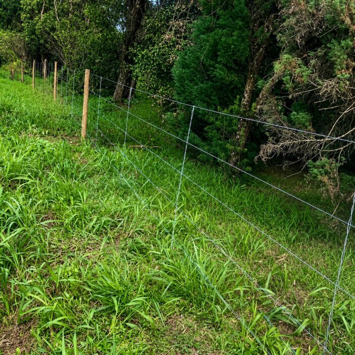 VIA ARAUCÁRIA